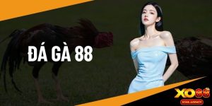 Đá gà 88