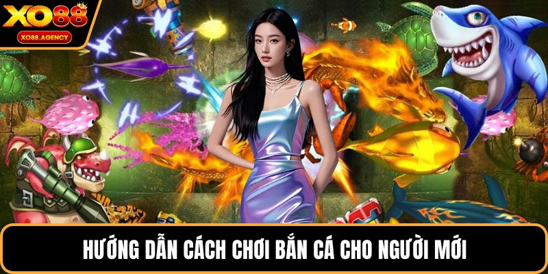 Hướng dẫn cách chơi bắn cá cho người mới