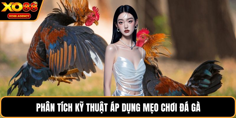Phân tích kỹ thuật áp dụng mẹo chơi đá gà