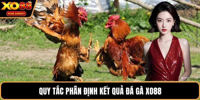 Quy tắc phân định kết quả đá gà XO88